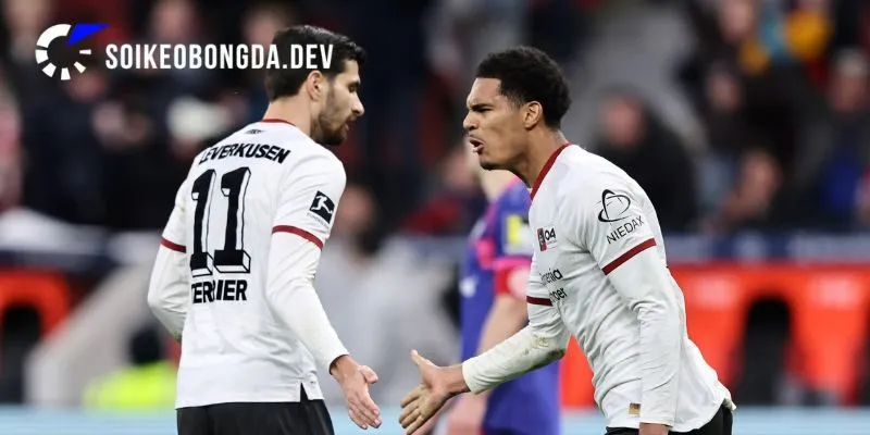 Soi Kèo Mainz 05 vs Paderborn 20h30 29/08/2026 Bundesliga 2 Nhìn lại phong độ hiện tại của Mainz 05 vs Paderborn